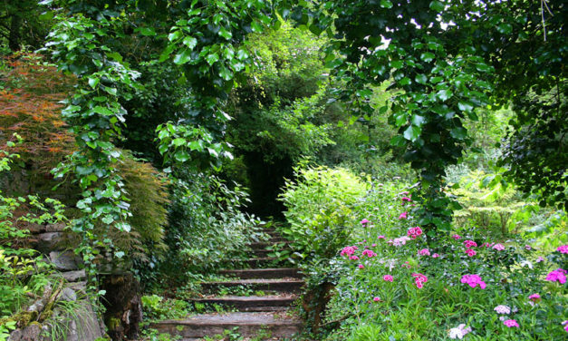 El Jardín Botánico de Santa Catalina amplía su apertura a todos los días de la semana