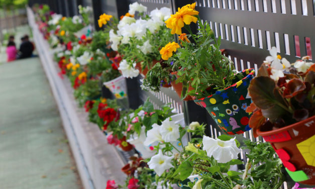 Un Jardín Vertical culmina la Semana Verde en el colegio José Miguel de Barandiaran