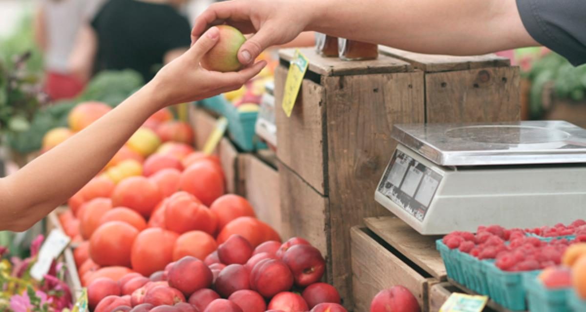 Iruña de Oca acogerá un mercado mensual de productores locales