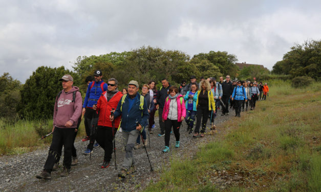 Más de 150 personas toman parte en la marcha por los cinco pueblos del municipio