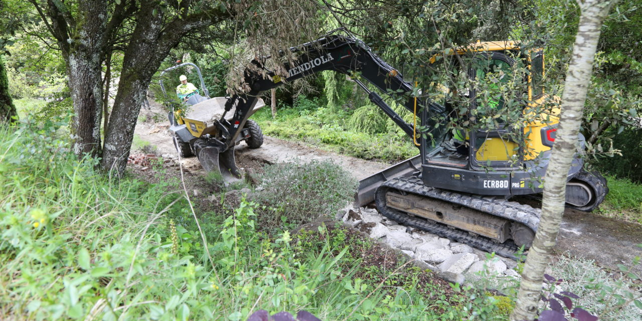 Arrancan las obras de mejora del Jardín Botánico de Santa Catalina