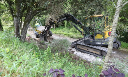 Arrancan las obras de mejora del Jardín Botánico de Santa Catalina