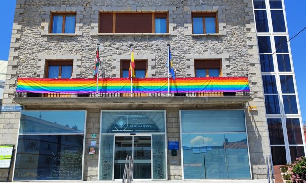 El pleno aprueba una declaración con motivo del Día Internacional del Orgullo LGTBI