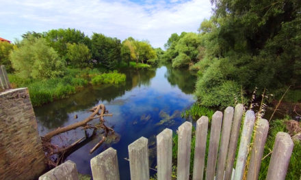 Rincones para disfrutar del verano en Iruña de Oca