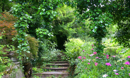 El Jardín Botánico de Santa Catalina reabre sus puertas el próximo 12 de junio