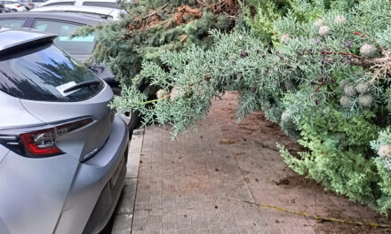 El Ayuntamiento insta a la poda de setos que invadan el espacio público