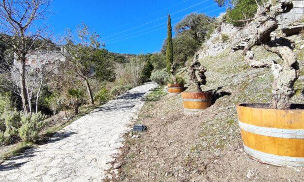 Santa Catalina reabrirá en abril tras un invierno de diferentes actuaciones de mejora y consolidación de espacios