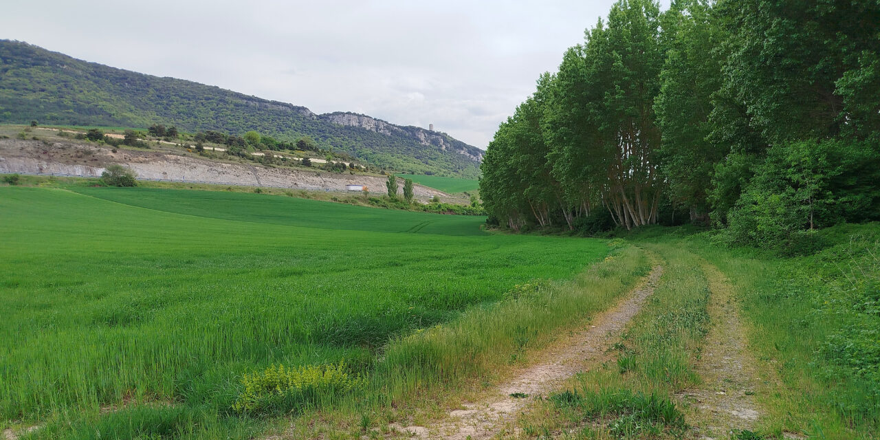 La Diputación planea unir la Ruta Verde con Treviño