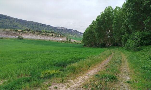La Diputación planea unir la Ruta Verde con Treviño