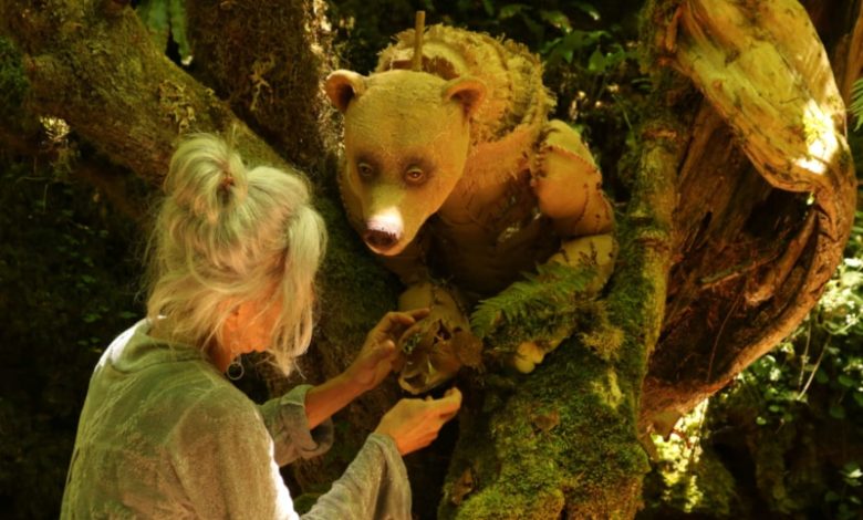 El Jardín Botánico de Santa Catalina propone un viaje al cosmos y a la imaginación el fin de semana