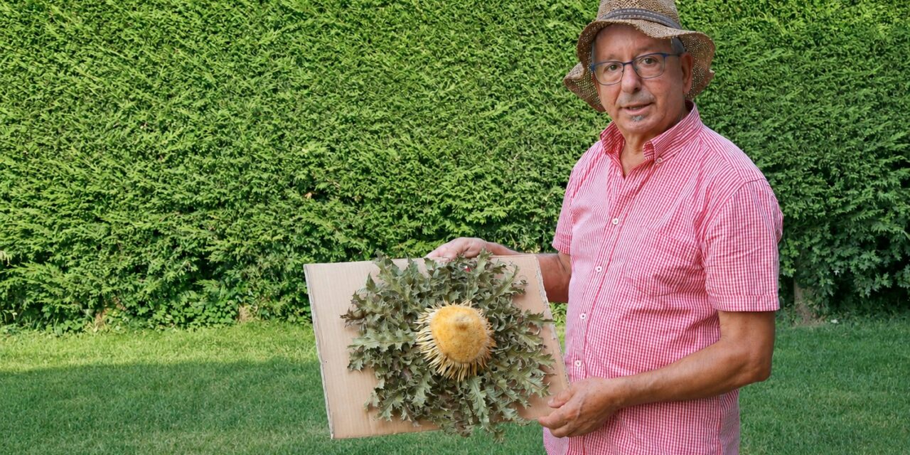 “Cultivar un eguzkilore te enseña a tener paciencia”