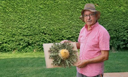 “Cultivar un eguzkilore te enseña a tener paciencia”