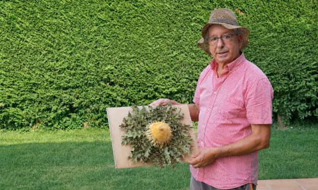 “Cultivar un eguzkilore te enseña a tener paciencia”